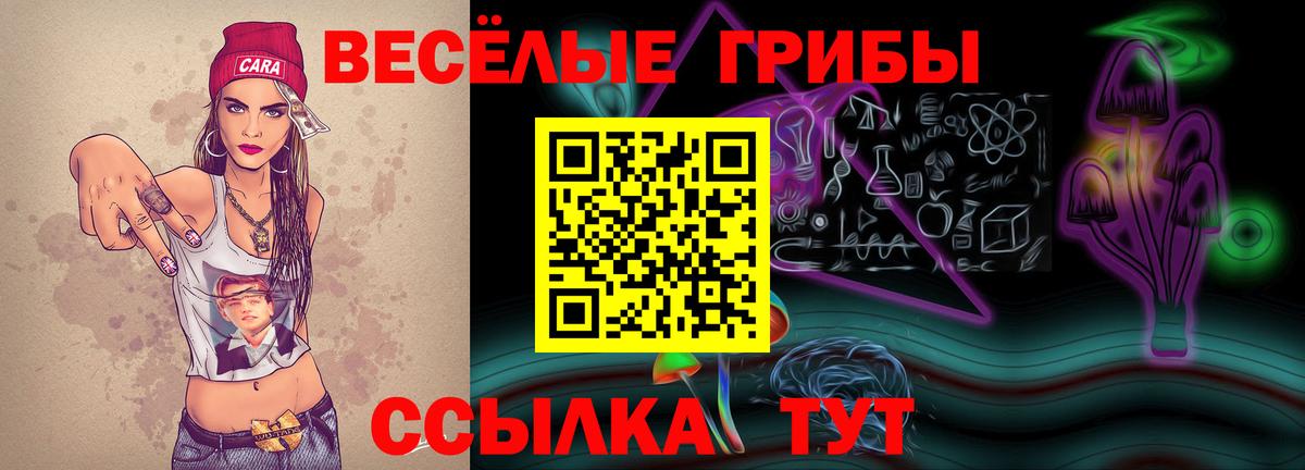 Псилоцибиновые грибы Psilocybine cubensis Владикавказ